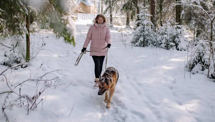Cane e donna sulla neve 