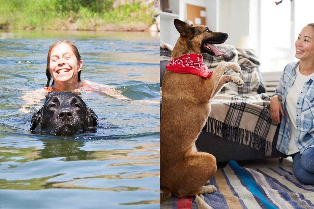 Chi si somiglia, si piglia: perché i cani assomigliano ai loro padroni