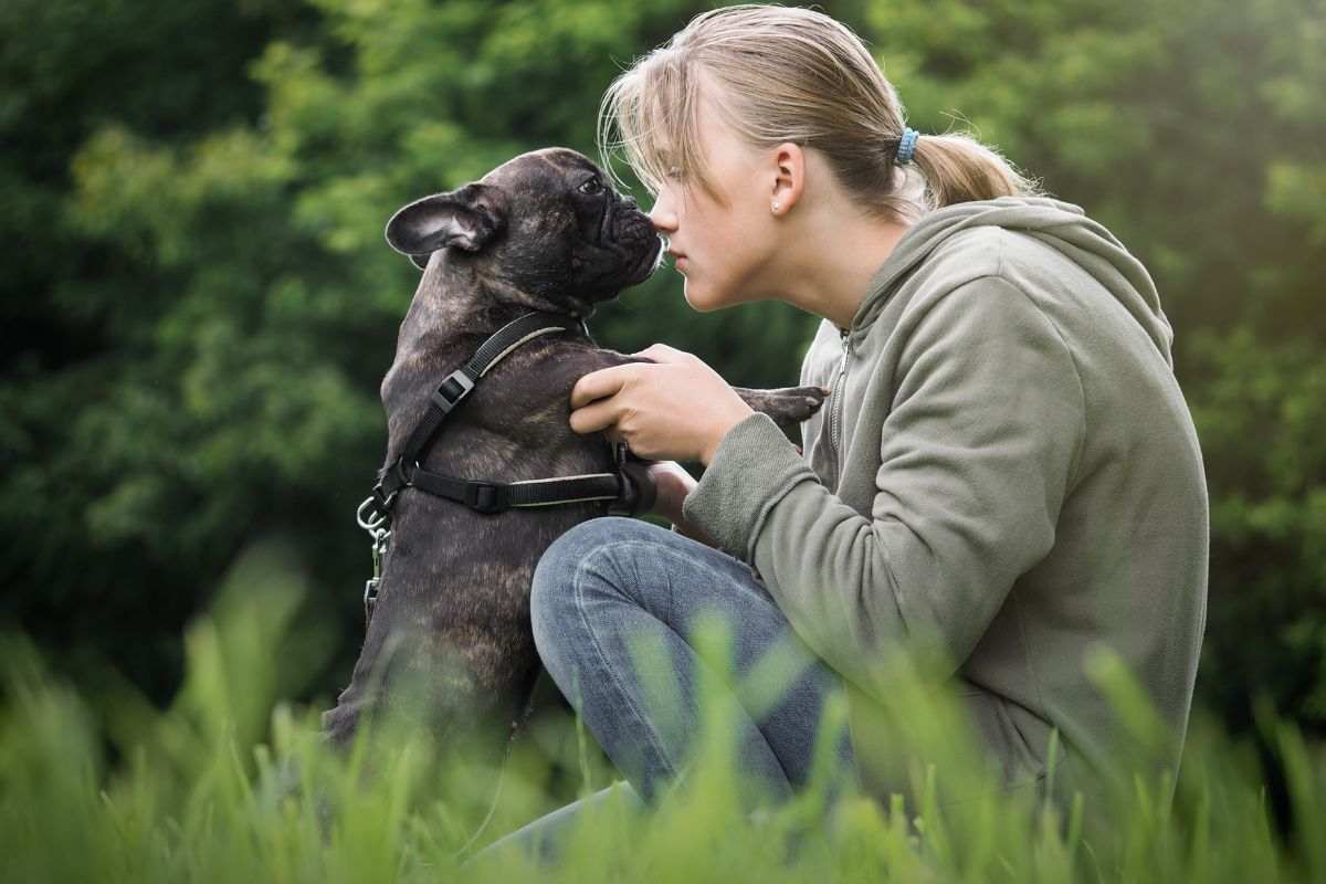 I cani capiscono più di quanto pensiamo e ci rispondono: la scoperta