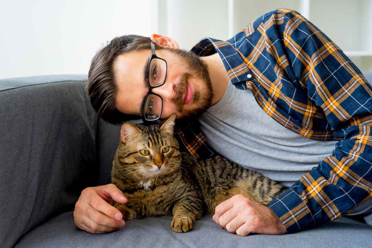 Il gatto fa pipì sui vestiti: perché lo fa e come farlo smettere