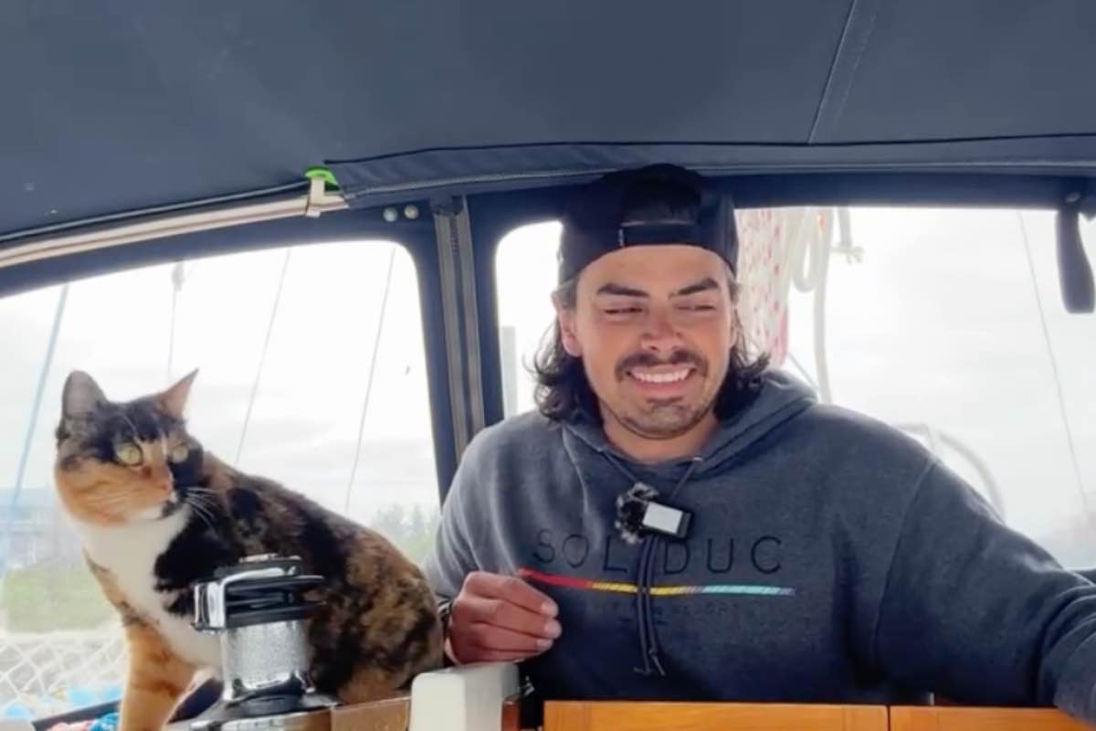 Gatto tricolore e giovane navigatore in barca a vela 