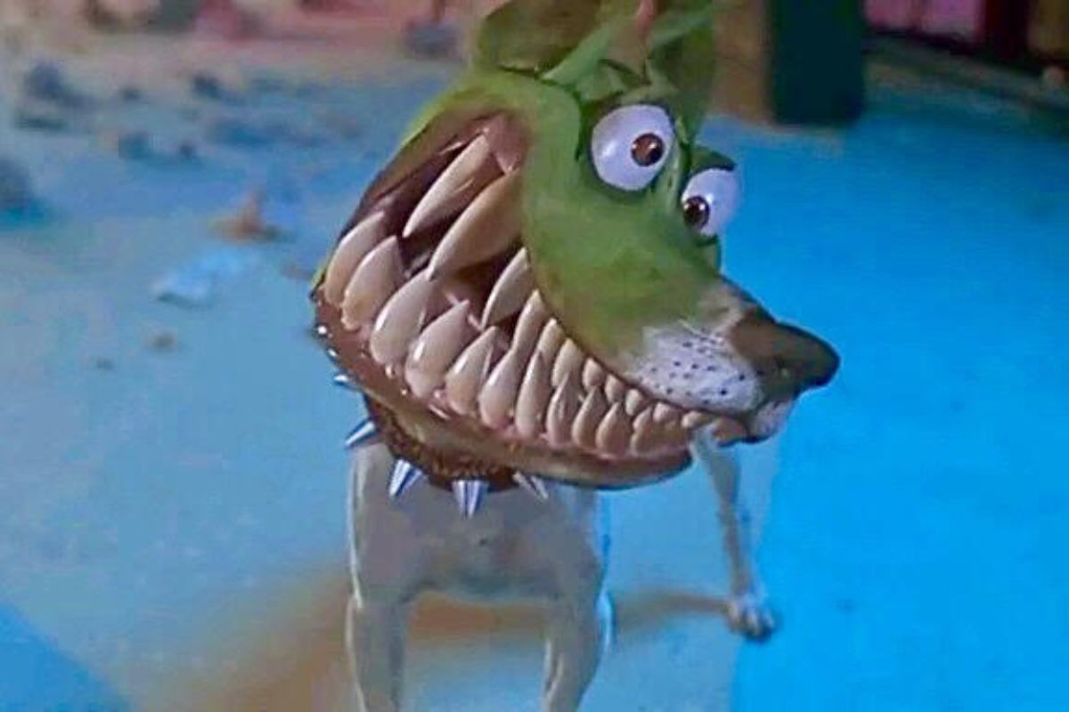 cane di the mask trasformato