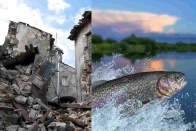 terremoto e pesce che esce fuori dall'acqua