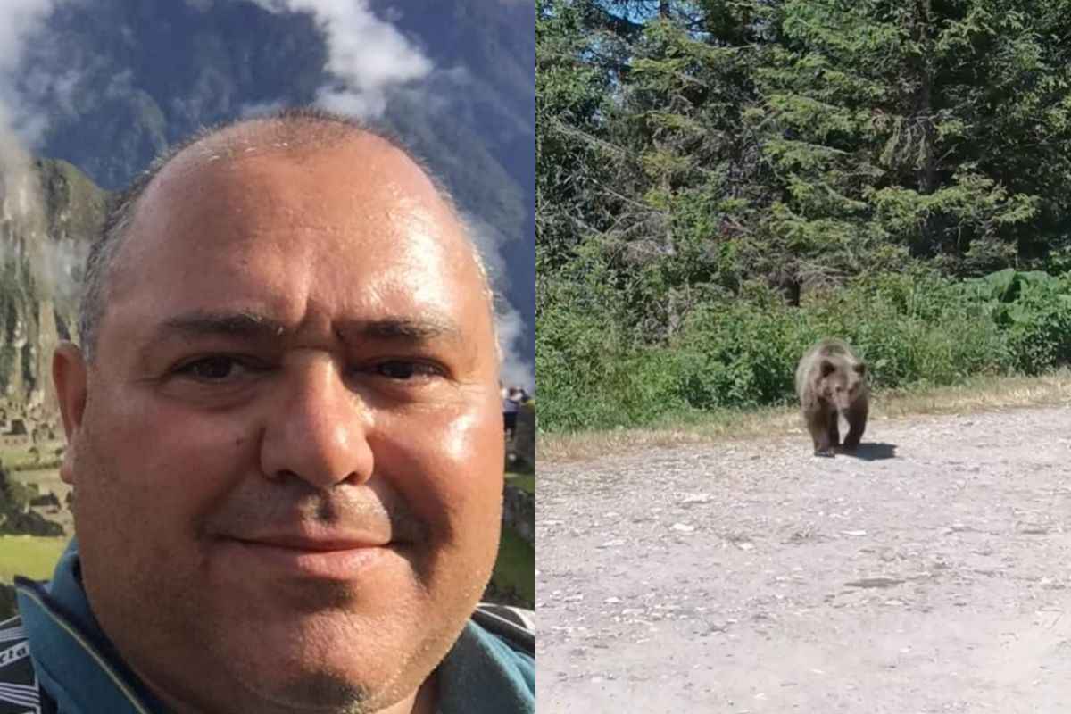 I cuccioli sono ancora lì, anche dopo l’uccisione della loro mamma che non tornerà mai più