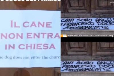 Cartelli fuori alla chiesa di Verona
