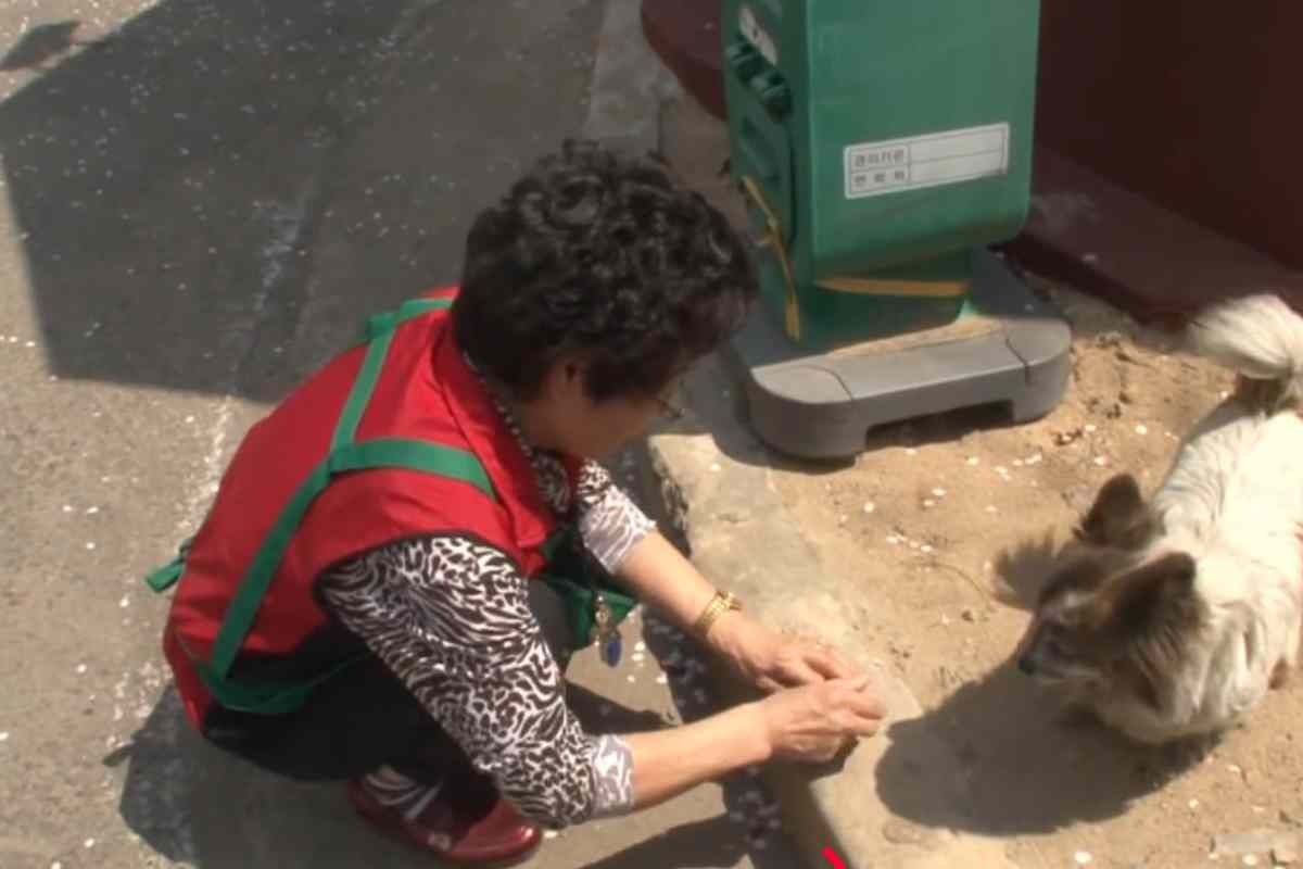 Donna assiste un cane abbandonato