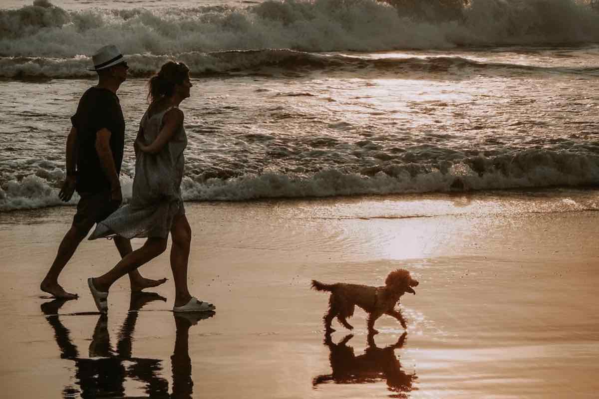 Coppia passeggia in riva al mare con il cane al tramonto 