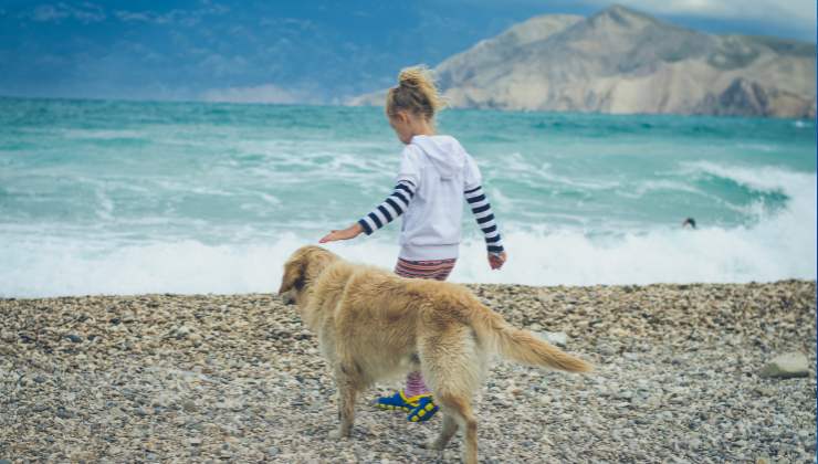 cane e bimba al mare in puglia