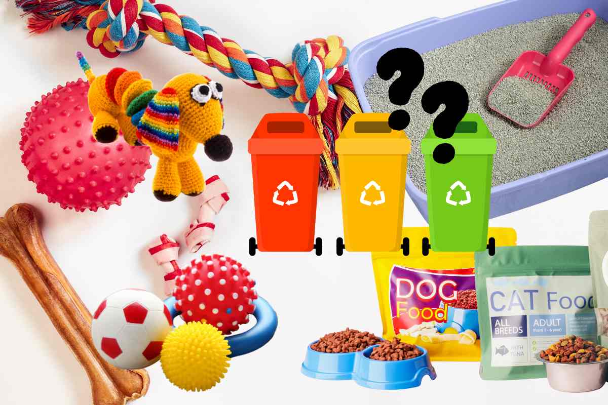 dove smaltire i rifiuti degli animali