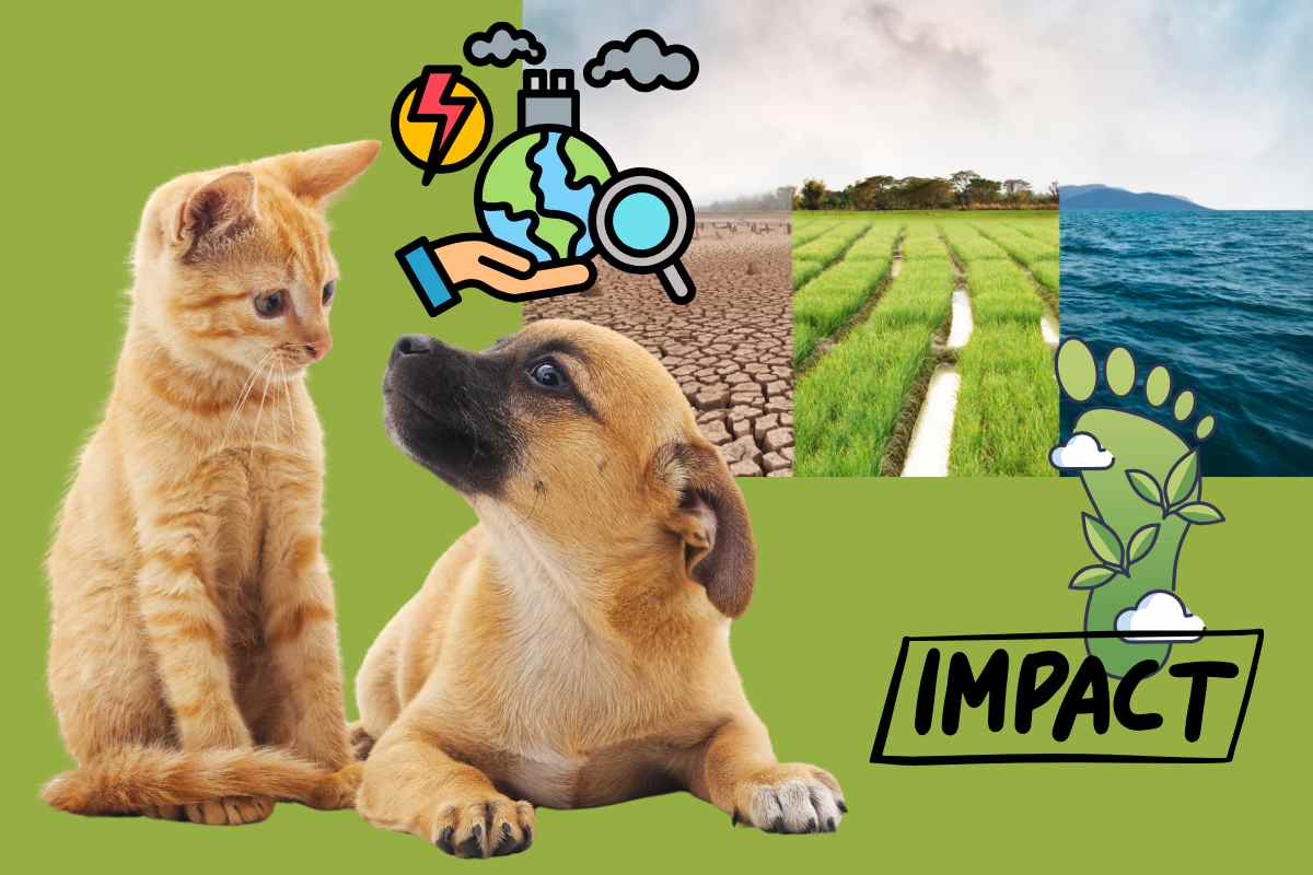 impatto ambientale di cani e gatti