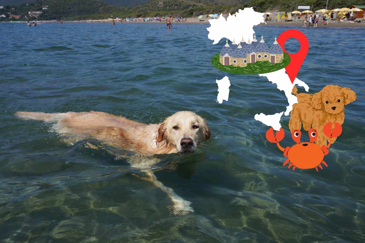 migliori spiagge della puglia