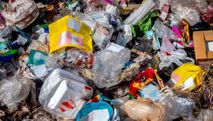 rifiuti degli animali