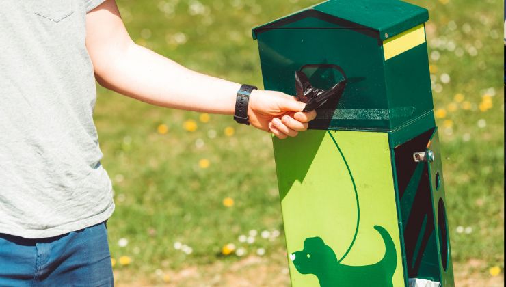 sacchetti per le deiezioni dei cani