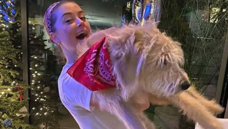 Amber Heard con il cane