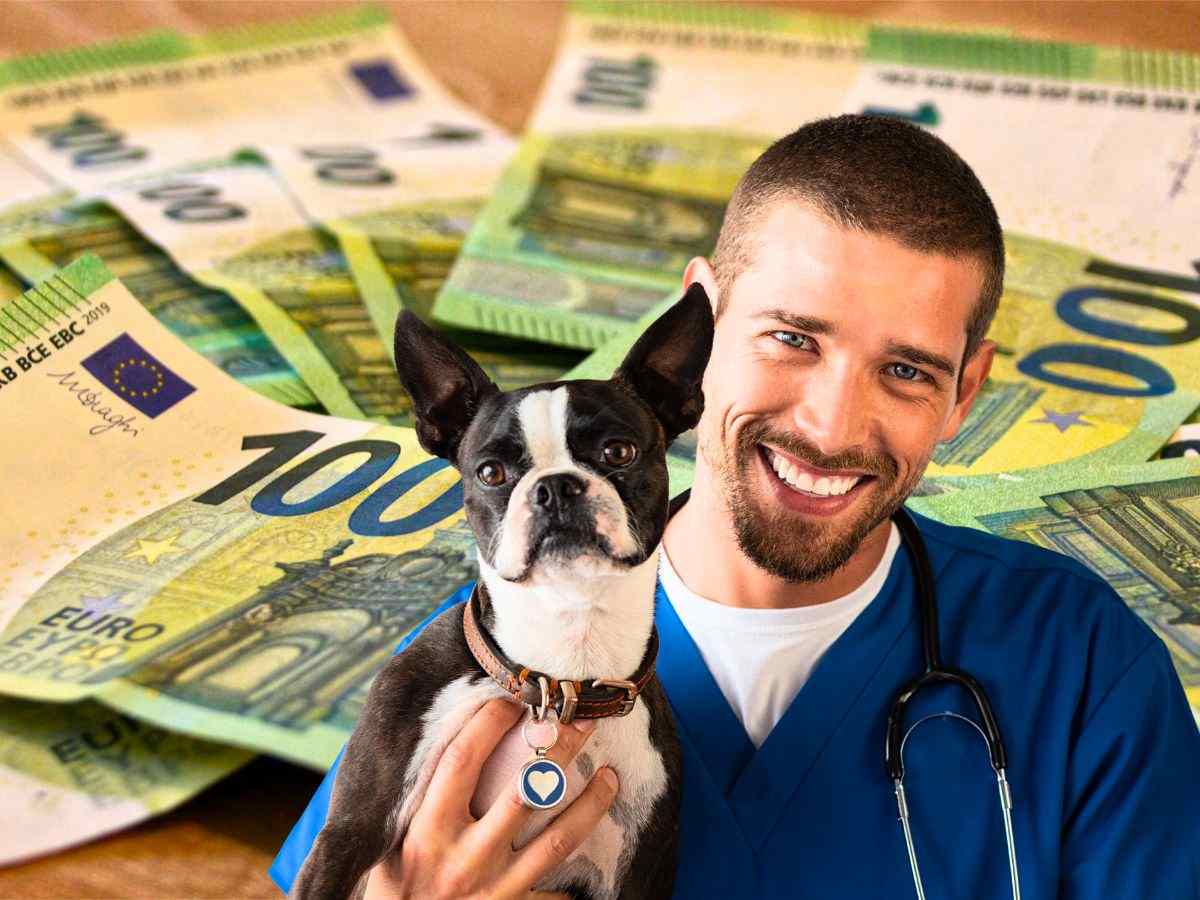 sfondo banconote 100 euro e veterinario con cane