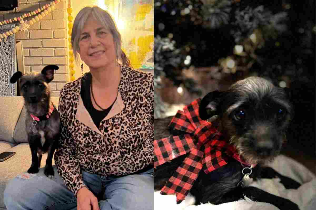 Dallas la cagnolina salvata dall'eutanasia