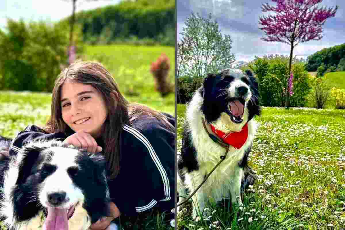 Cane rapito con la sua padroncina