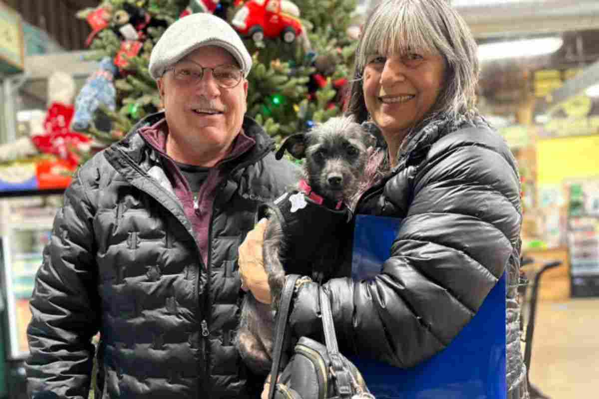 Cagnolina adottata dalla nuova famiglia