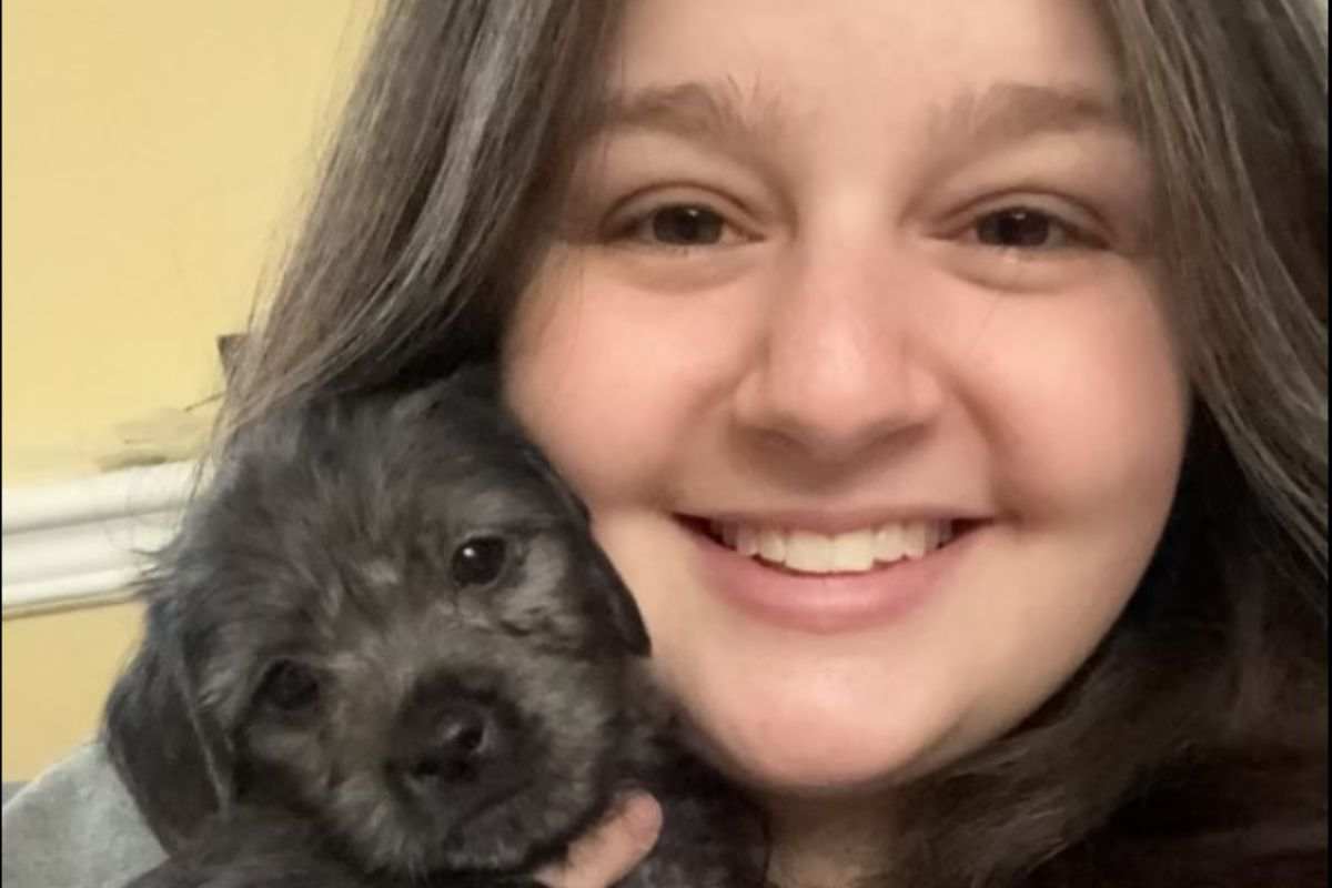 Cucciolo di Dallas adottato