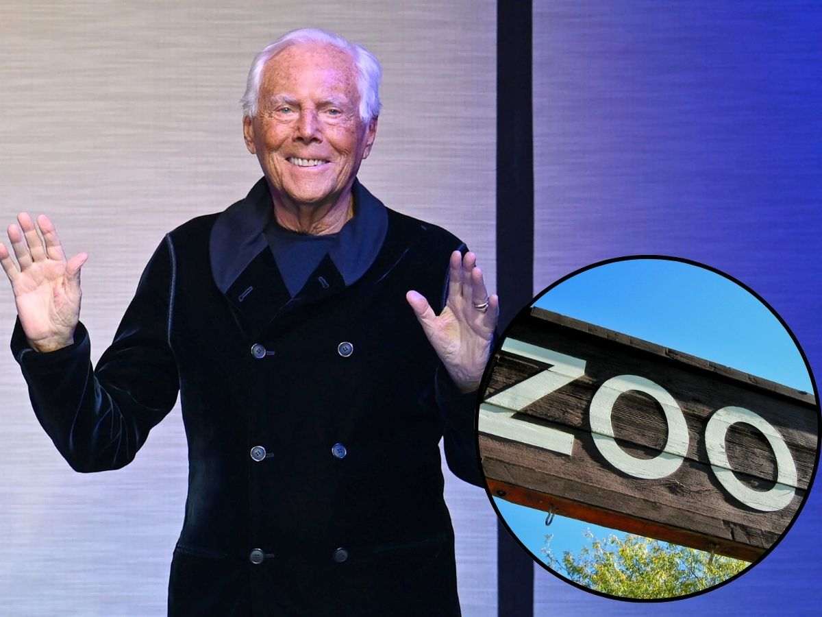 sfondo Giorgio Armani e tondo con scritta ZOO