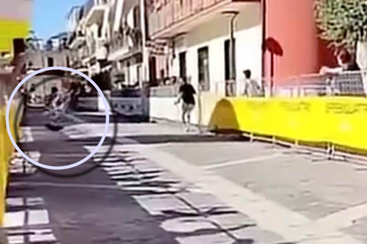 Bici in corsa davanti a un cane in fuga 