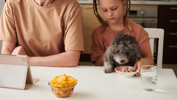 cane con bambina mangia dal tavolo