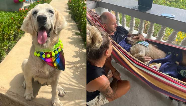 l'ultimo giorno di Tina