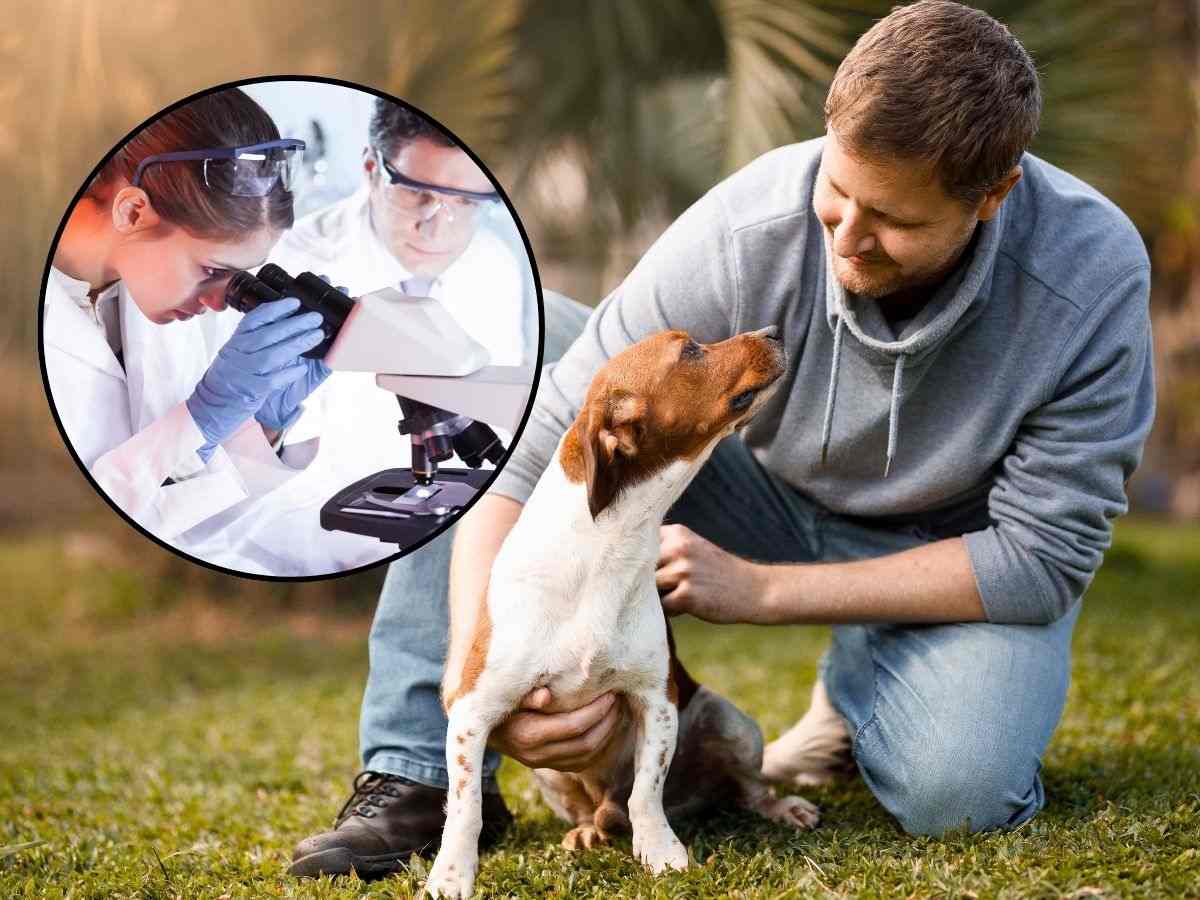 sfondo cane e padrone e tondo con scienziati in laboratorio
