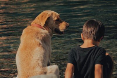Bambino e cane seduti sulla sponda del lago