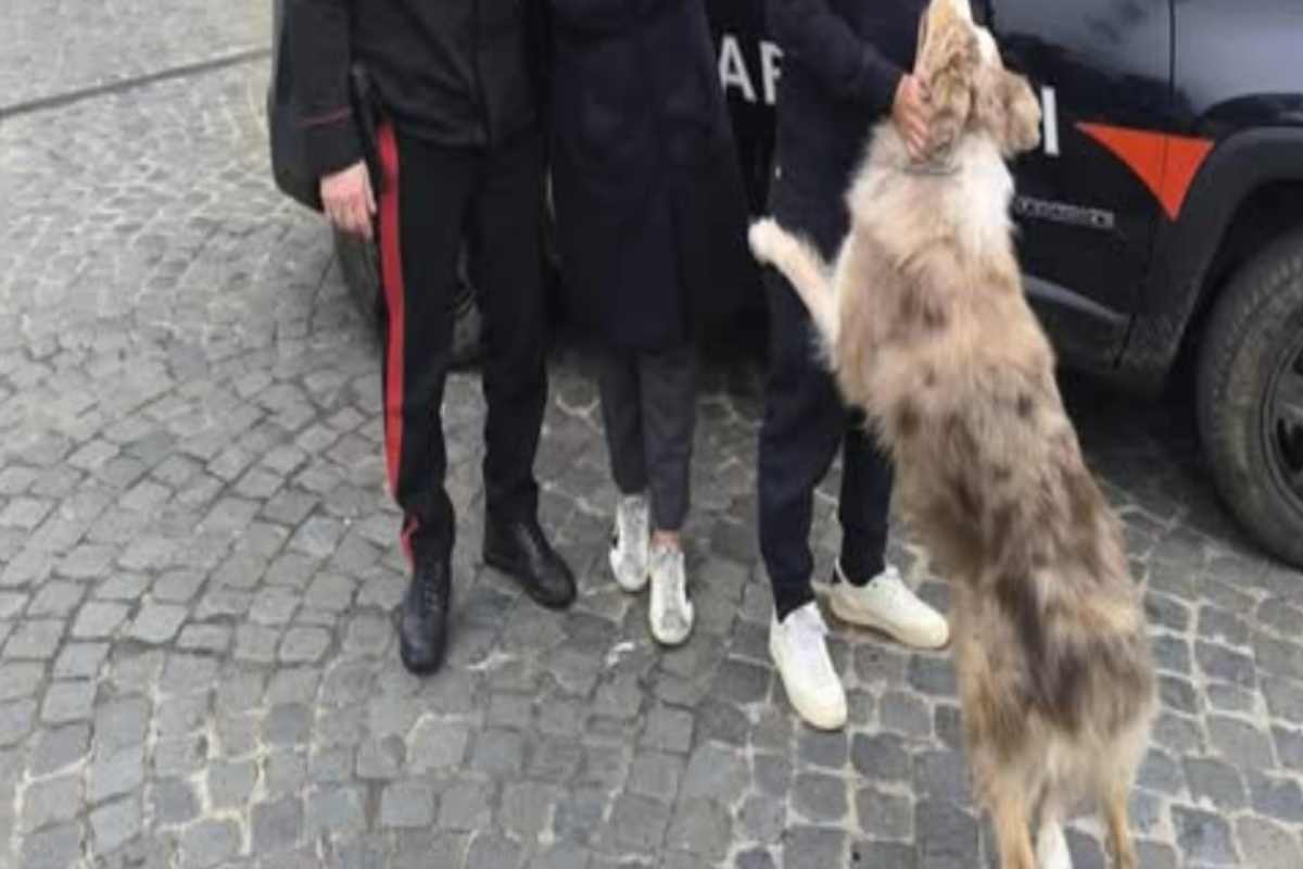 Cane torna dalla sua famiglia