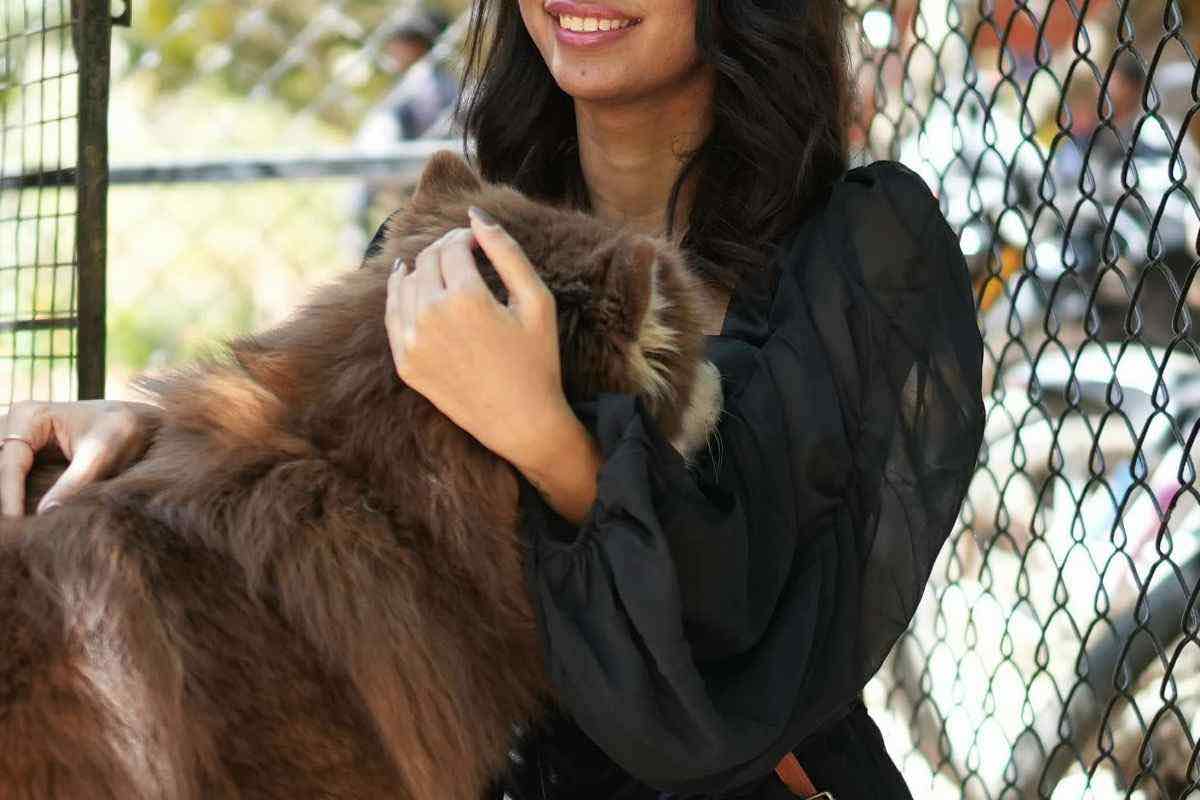 Donna abbraccia un cane in un allevamento