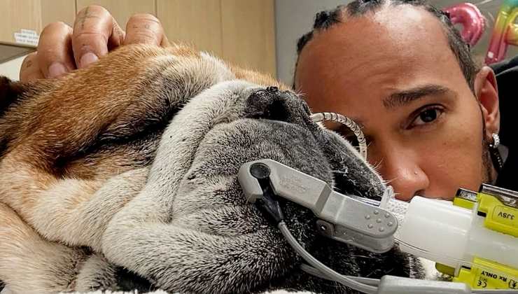 Hamilton insieme a Roscoe