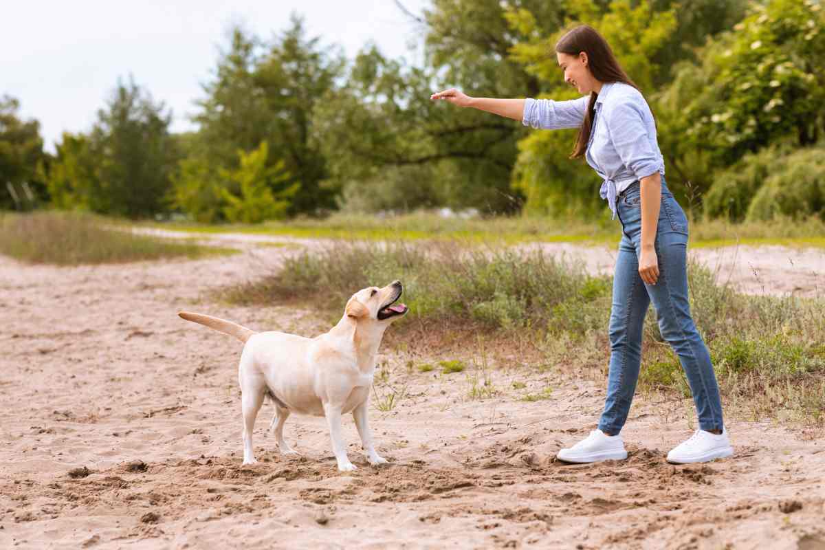 Ragazza da un comando al suo cane
