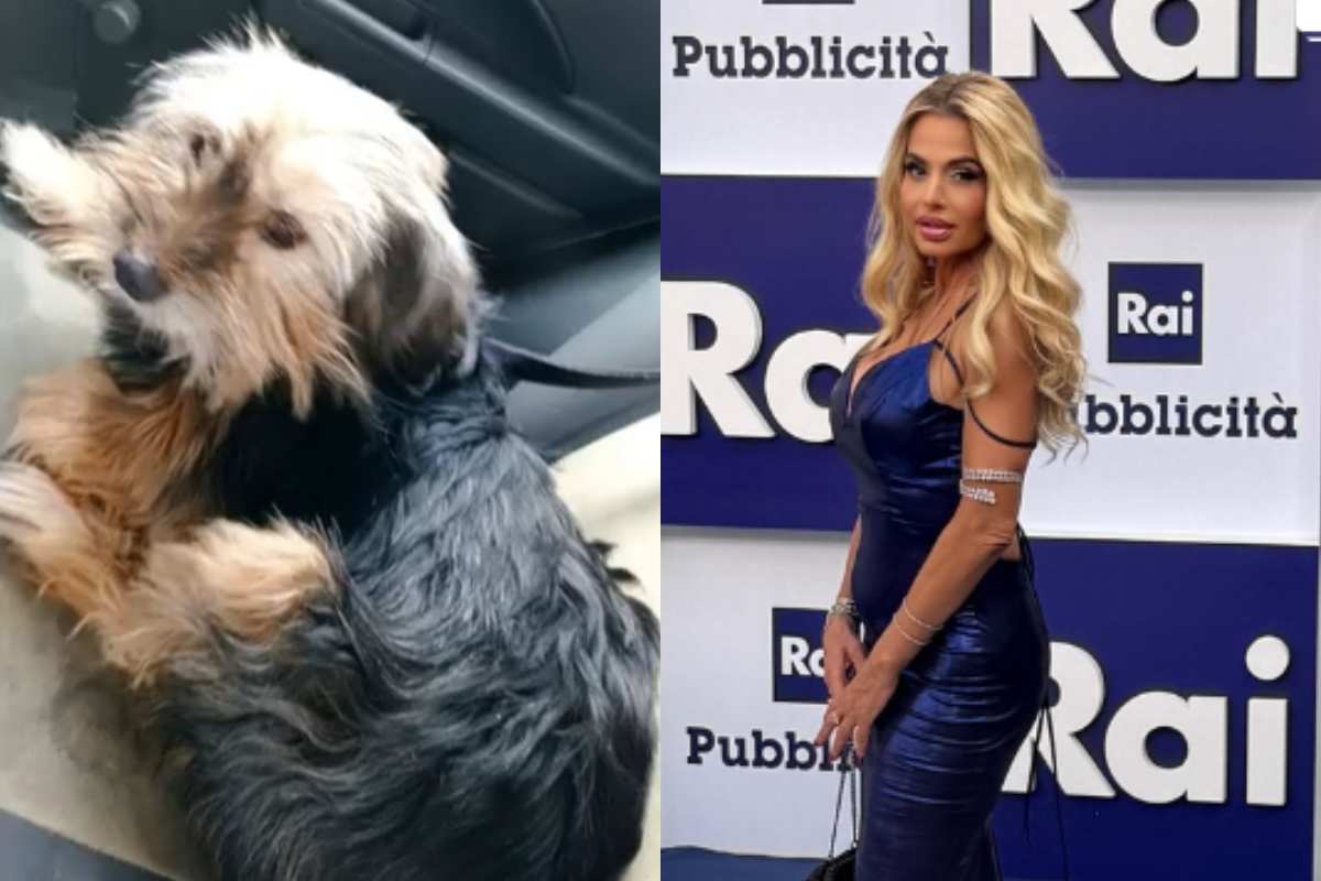 Valeria Marini e il cane