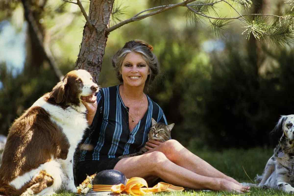 brigitte bardot con cani e gatti