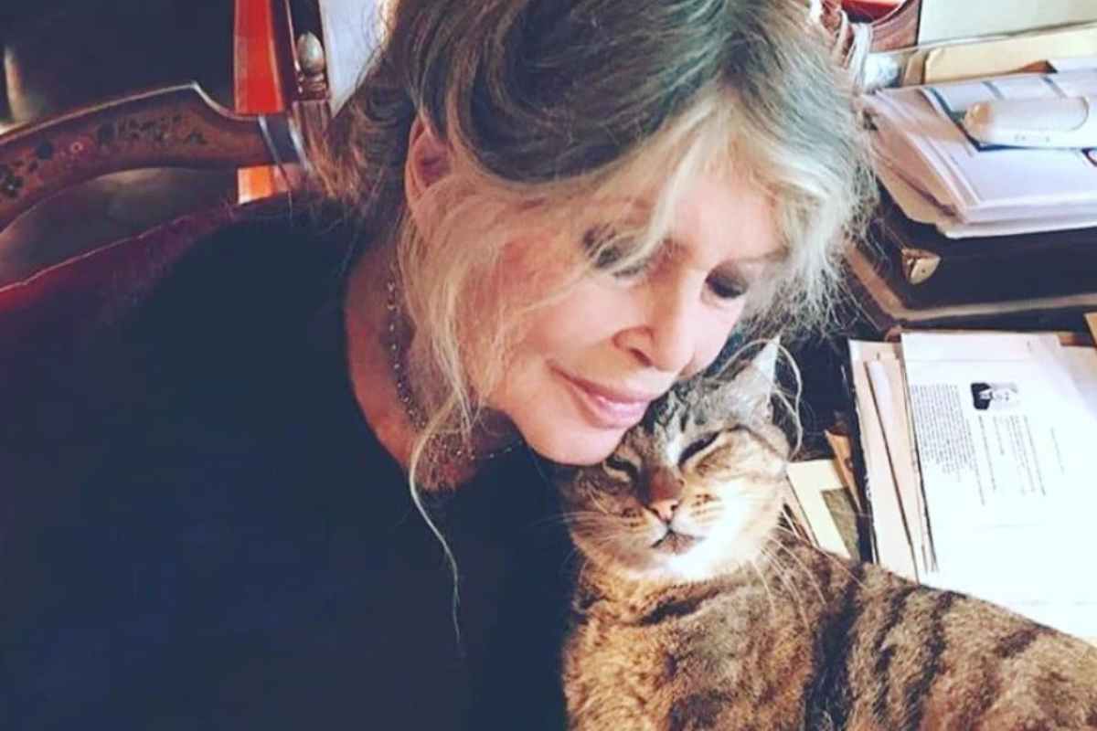 brigitte bardot con un gatto
