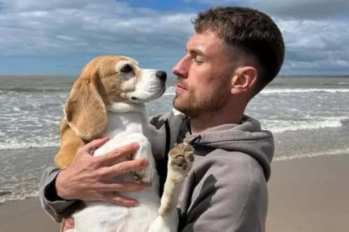 Aaron Ramsey offre una ricompensa di 10mila dollari per ritrovare il suo cane: “Aiutatemi a ritrovare Halo”