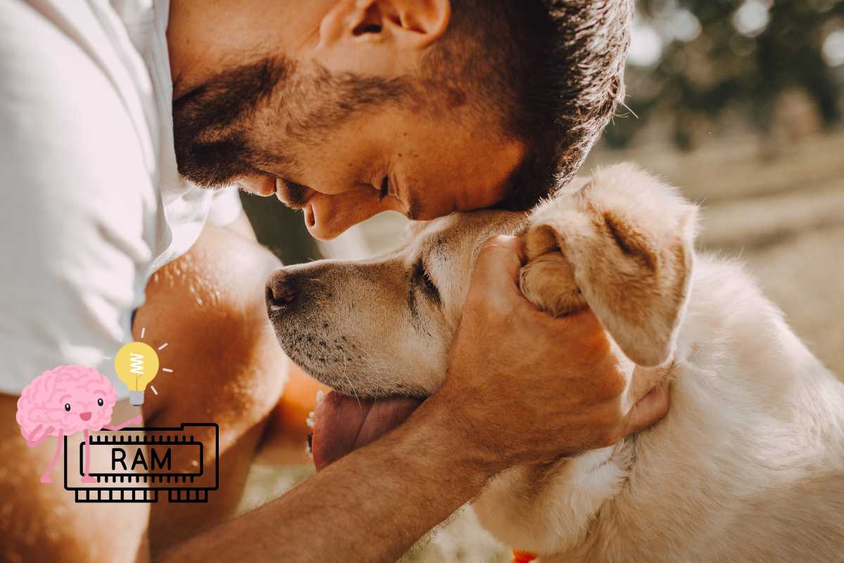 memoria del cane