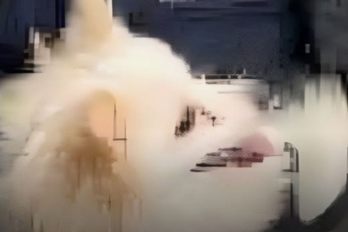 cane immagine offuscata