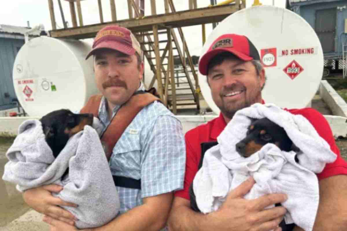 Uomini che hanno salvato i cani