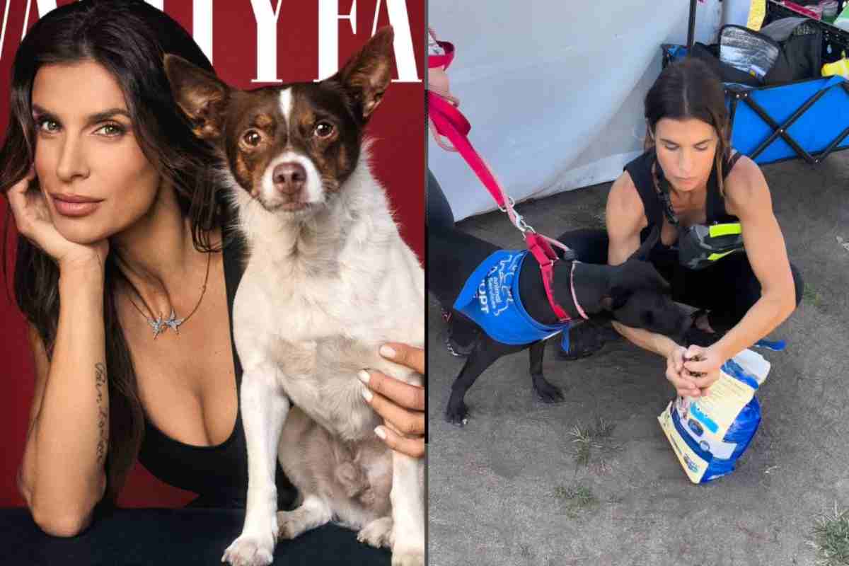 Elisabetta Canalis e cani