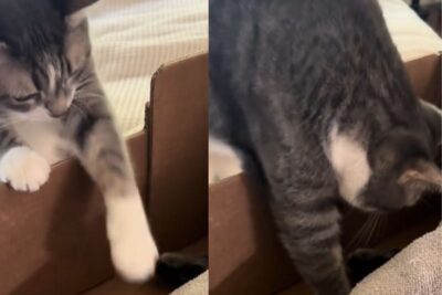 Sis e la sua amica Mama