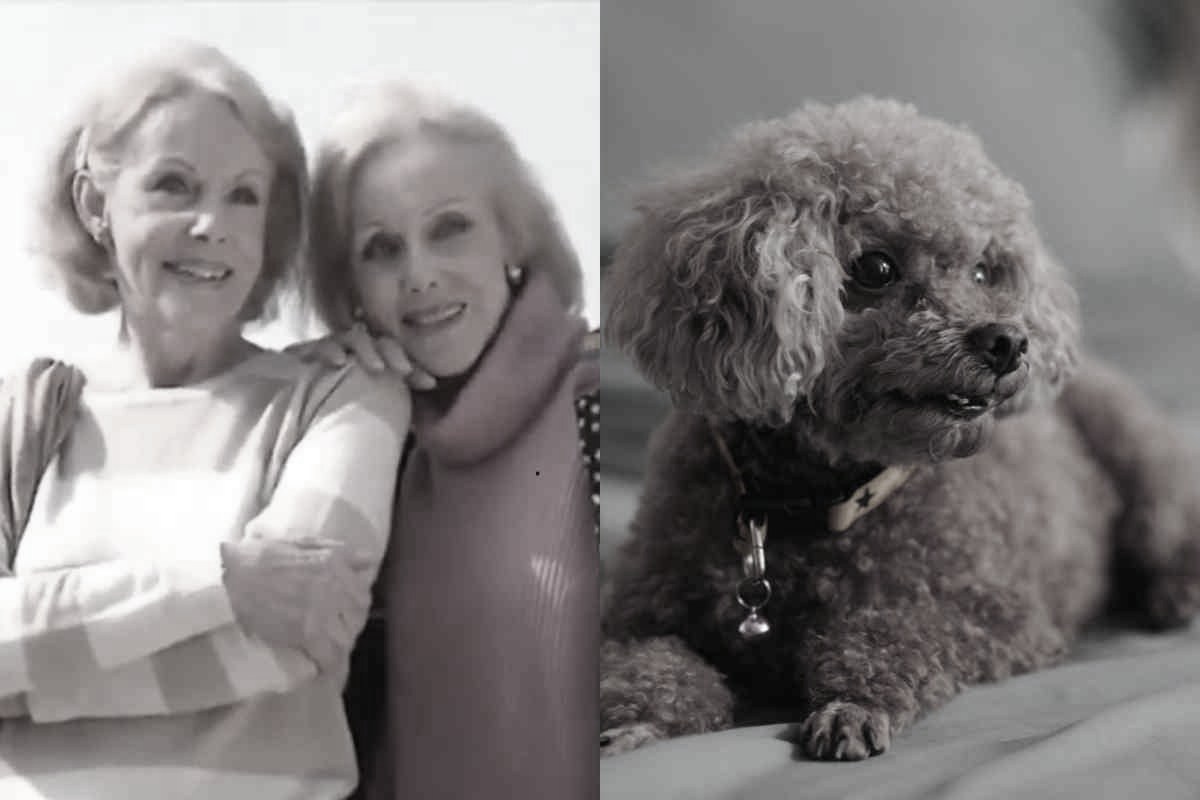 Le gemelle Kessler e il loro Barboncino