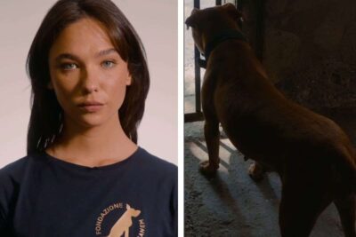 De Angelis e il cane Pitbull