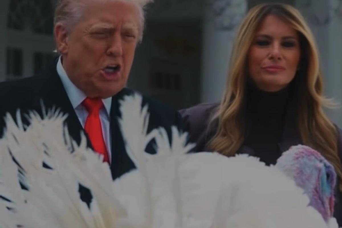 Milioni di tacchini sacrificati per il giorno del ringraziamento: Trump lascia tutti basiti