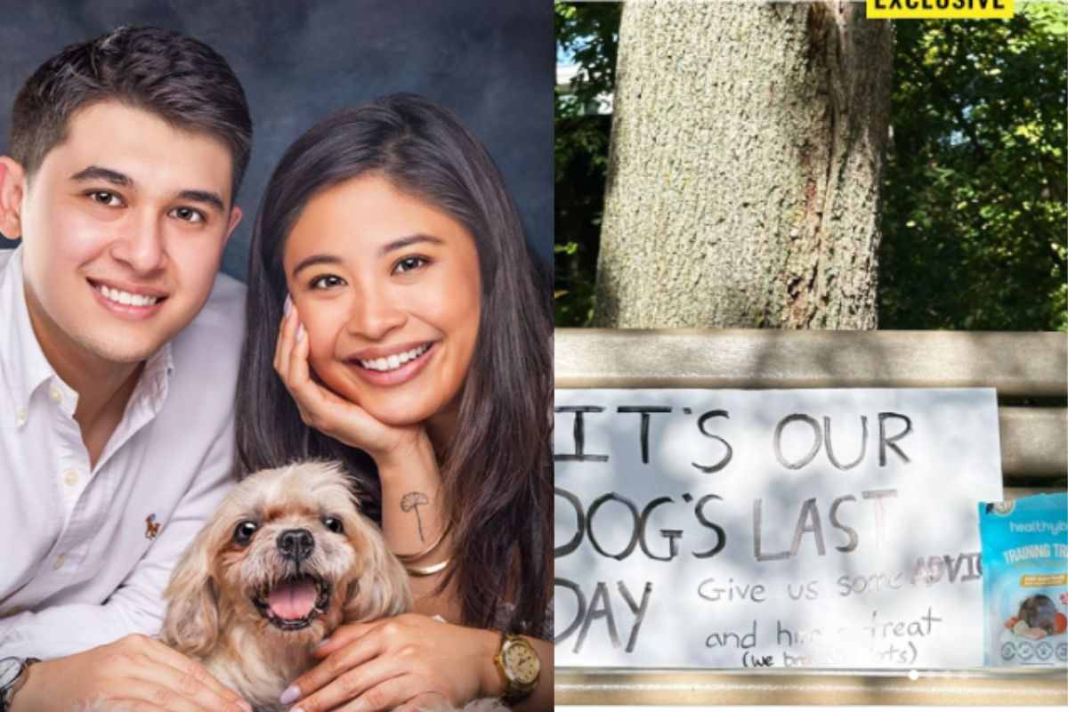 L’addio al cane Manolo commuove il mondo: il suo ultimo giorno è stato indimenticabile