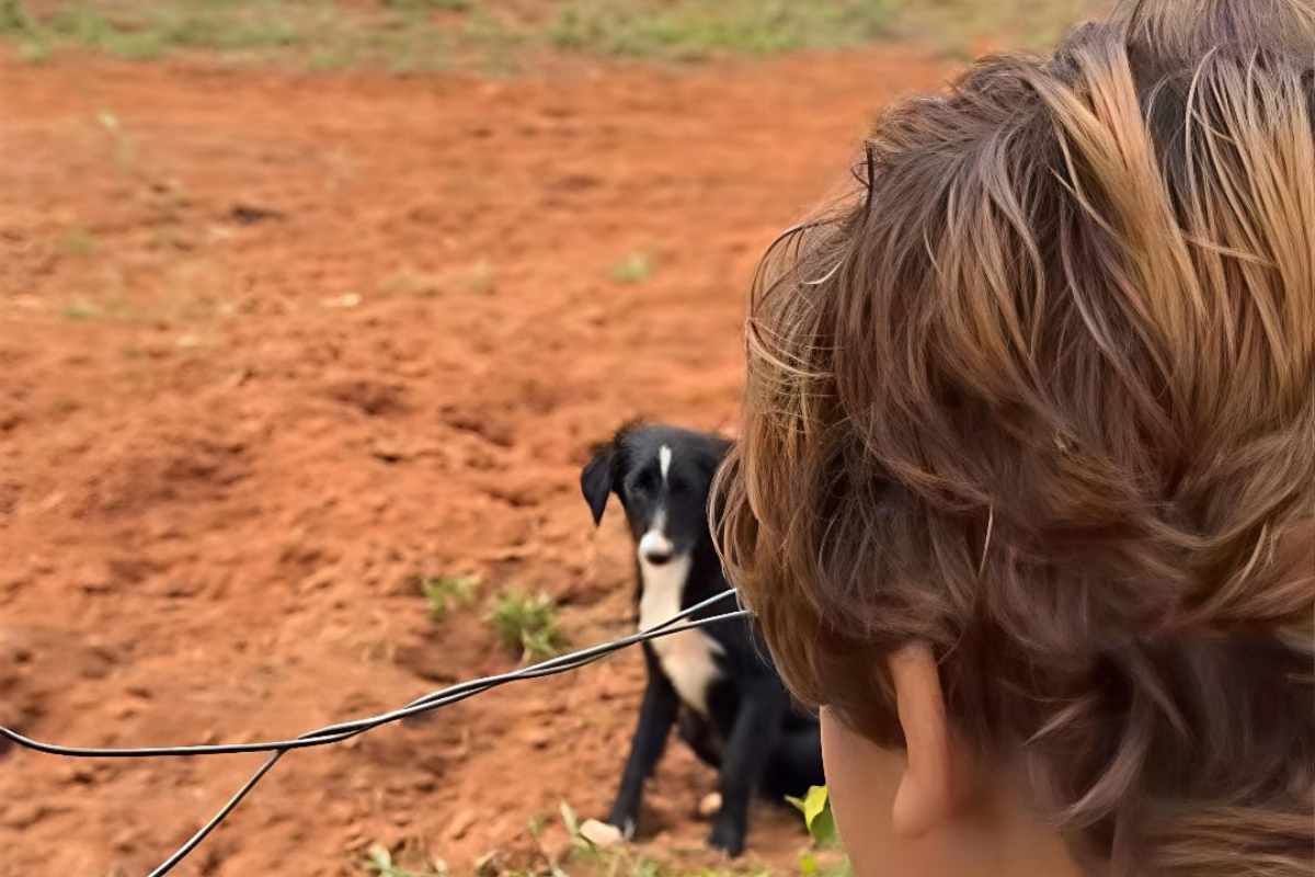 Un bambino che ha scelto di stare dalla parte del bene: un piccolo eroe