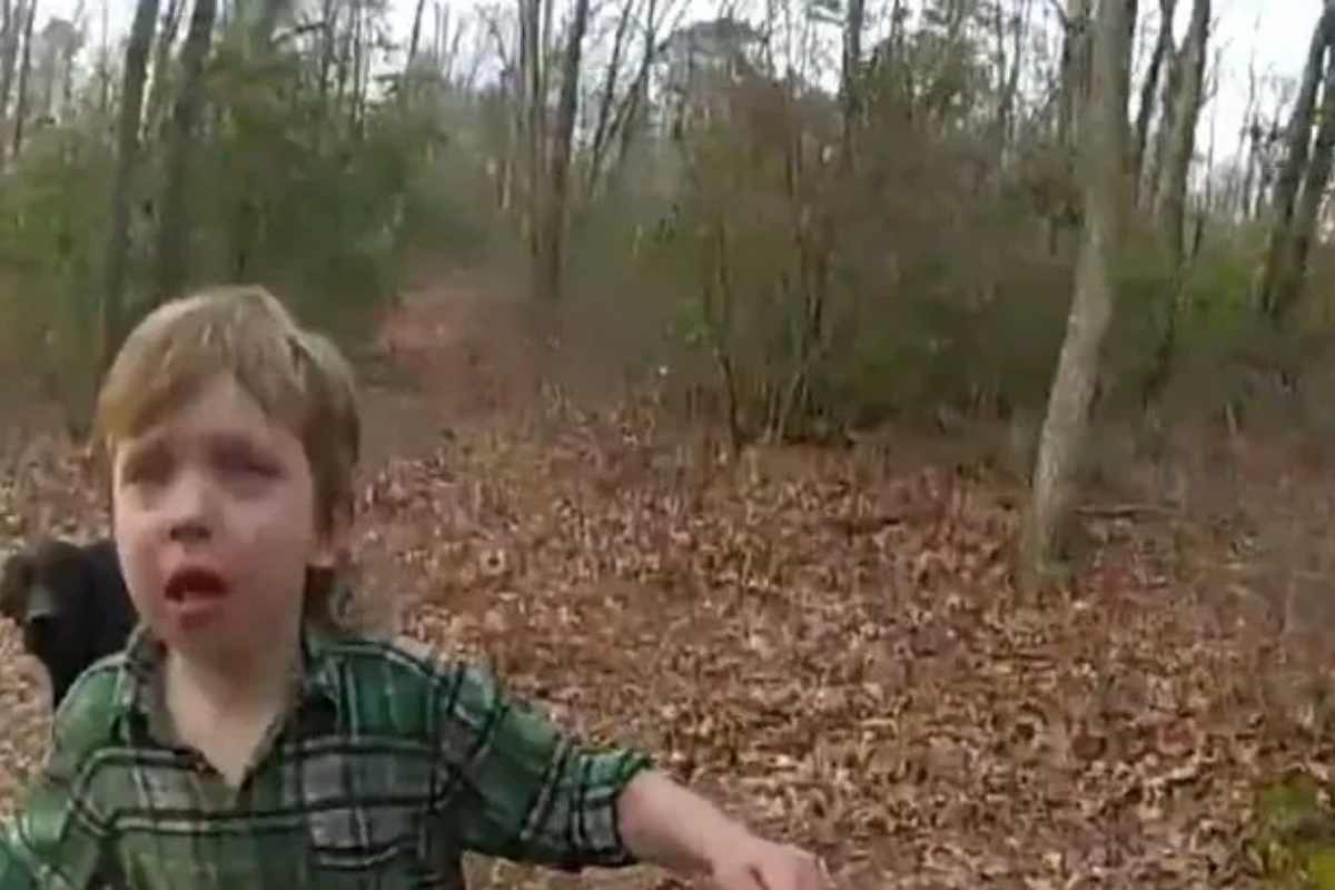 Ritrovato un bimbo di 4 anni grazie al suo Labrador: non lo ha lasciato solo un secondo