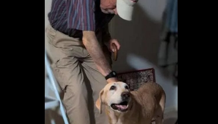 La storia strappalacrime di Sunny e Norm commuove gli utenti del web