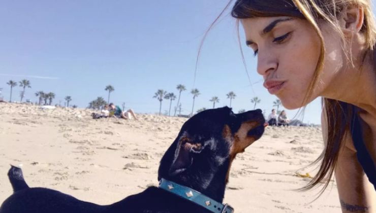 cane di Elisabetta Canalis